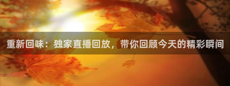 丁伟杰蓝鲸体育直播间