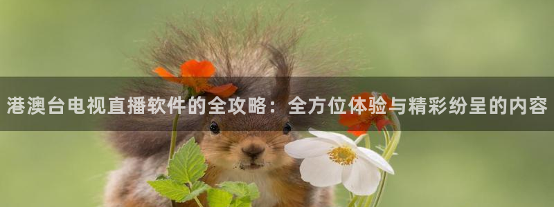 蓝鲸体育ufc直播：港澳台电视直播软件的全攻略：全方位体验与精彩纷呈的内容