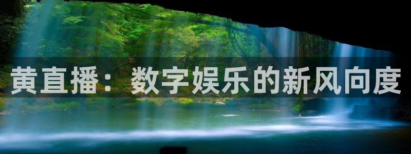 蓝鲸直播 app下载：黄直播：数字娱乐的新风向度